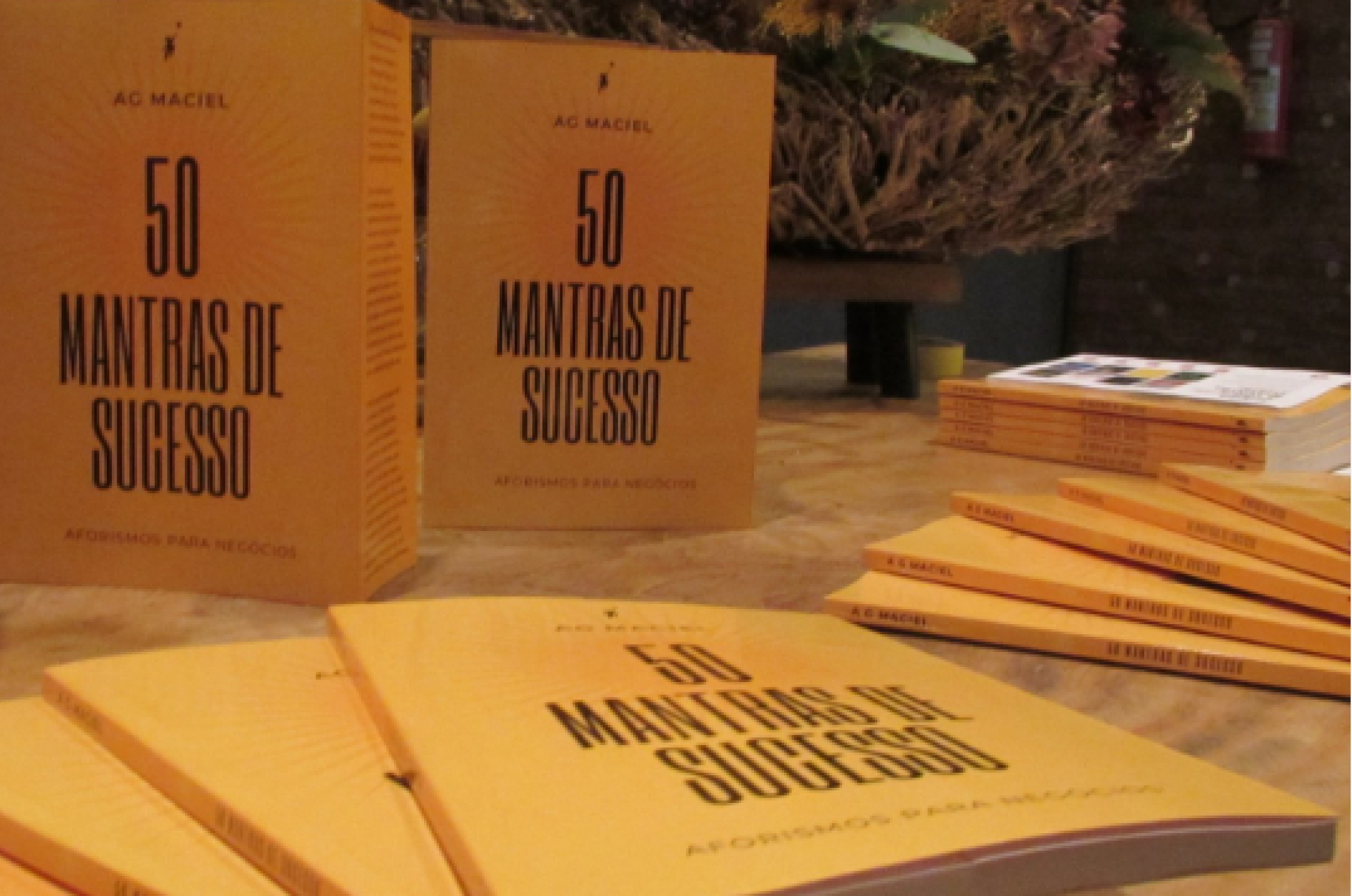 50 Mantras de Sucesso afirma o conceito de leitura útil